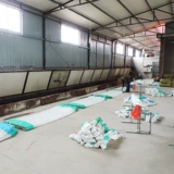 Растение карабля виноградного растения, посаженная на посадку, огурца огурца огурцы огурцы огурца горькая тыква висящая дыня луновая дыня пайксианская фруктовая крошка. Сеть сельскохозяйственное использование