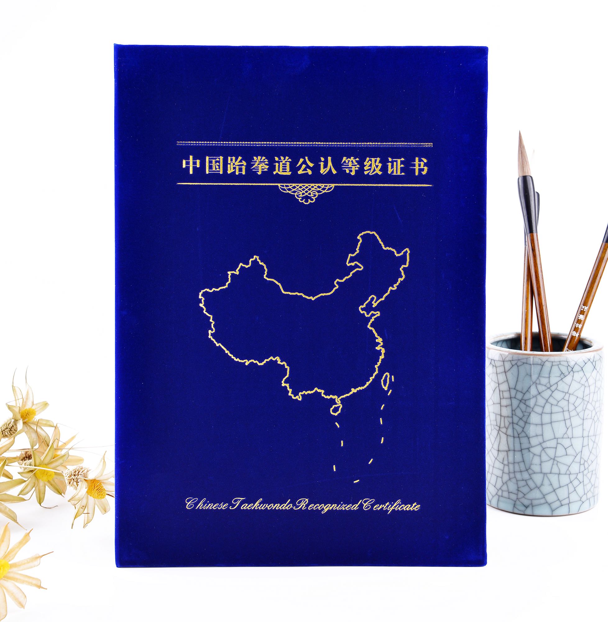 China Taishan Beidou Taekwondo Level Certificate Protection Clip