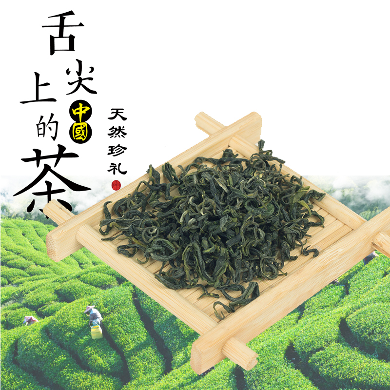 日照绿茶2023新茶雨前炒青茶礼盒装高山云雾茶散茶浓香型绿茶500g Изображение 1