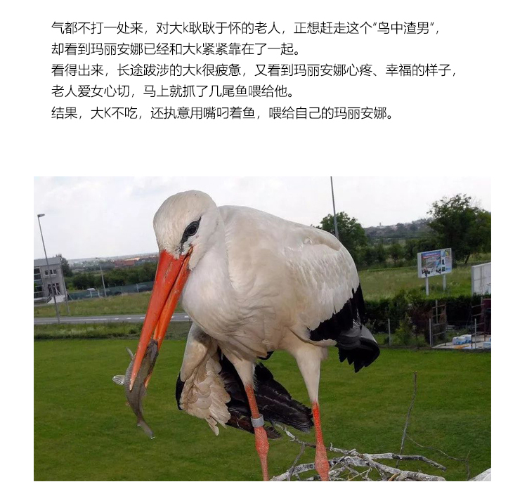 Bague mixte OTHER   en Argenterie - Ref 3089136 Image 21