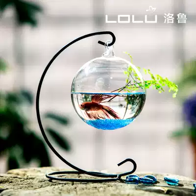 Creative hanging transparent glass vase ornaments hydroponic plants gold Ge bottle living room micro landscape iron vase