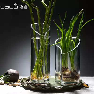 Vase glass rich bamboo hydroponic plant glass flower vase flower arrangement container Golden kudzu flower pot Ware ornaments