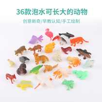 Water-absorbing expansion toy ocean baby soaking in water grows up simulation animal cognition water raising land wild animal model