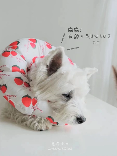 Pet Soft Boylizabeth Водонепроницаемый круг облизы