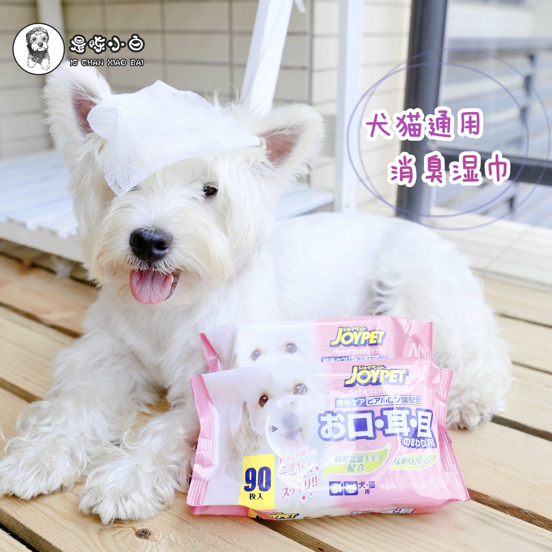 Dog Cat Universal Japan JOYPET Pet Mild Eye Mouth Nose Wet Towel Facial no-fragrance No alcohol deodorant 90 tablets