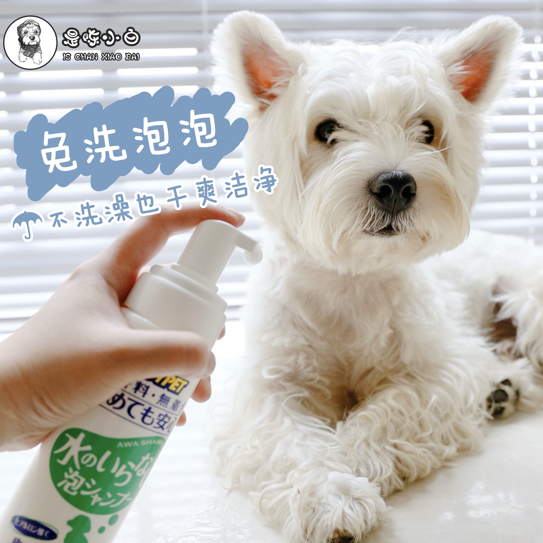 Joypet washes the foam shampoo without alcohol dog dry cleaning to stigmatize the pregnant woman 200ml bath beauty