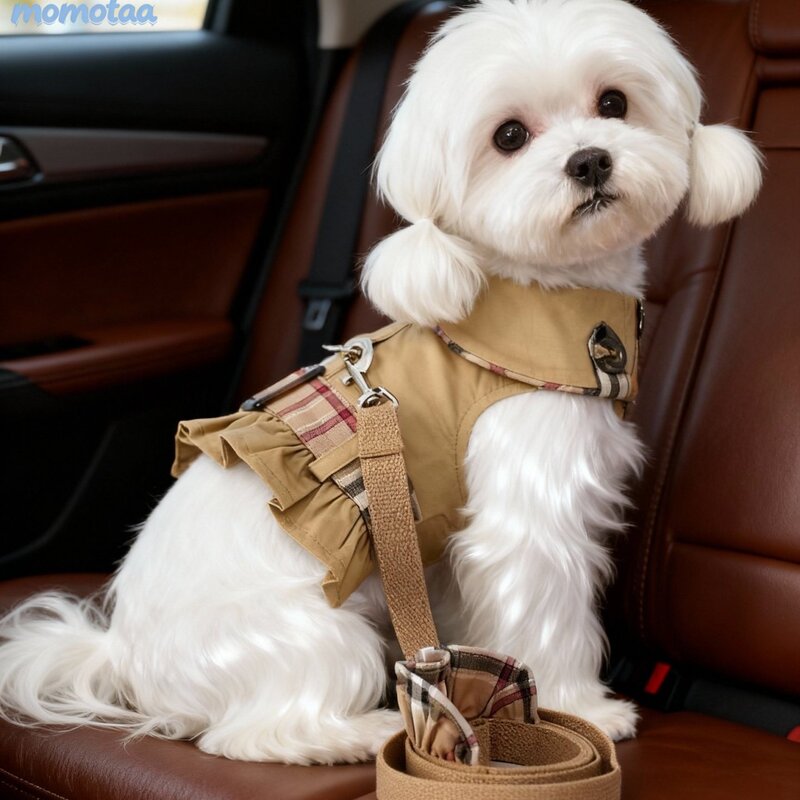 Foru Pet Small Dog Bichon Teddy Dog Clothes Spring and Summer Trendy Brand Windbreaker Can Be Paired with a Leash