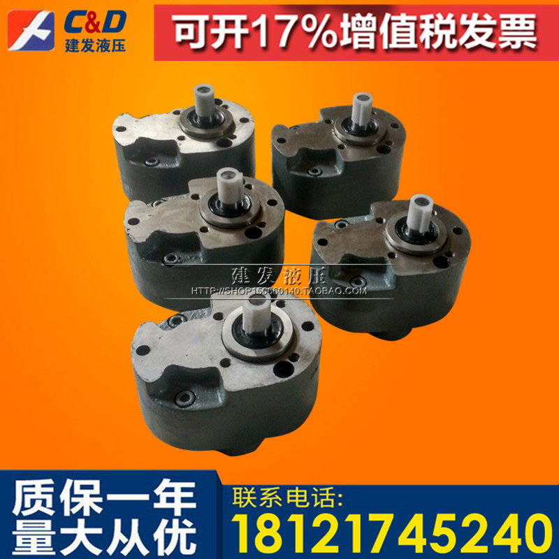 CB-B10 B6 B4 B16 B25 B32 B40 B50 B63 B80 B100 B125 Steel gear oil pump