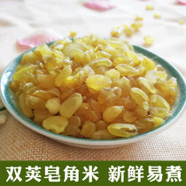 Yunnan farmhouse double pod soap horn rice 100g snow lotus seed new goods can be used with white ear peach gum snow swallow