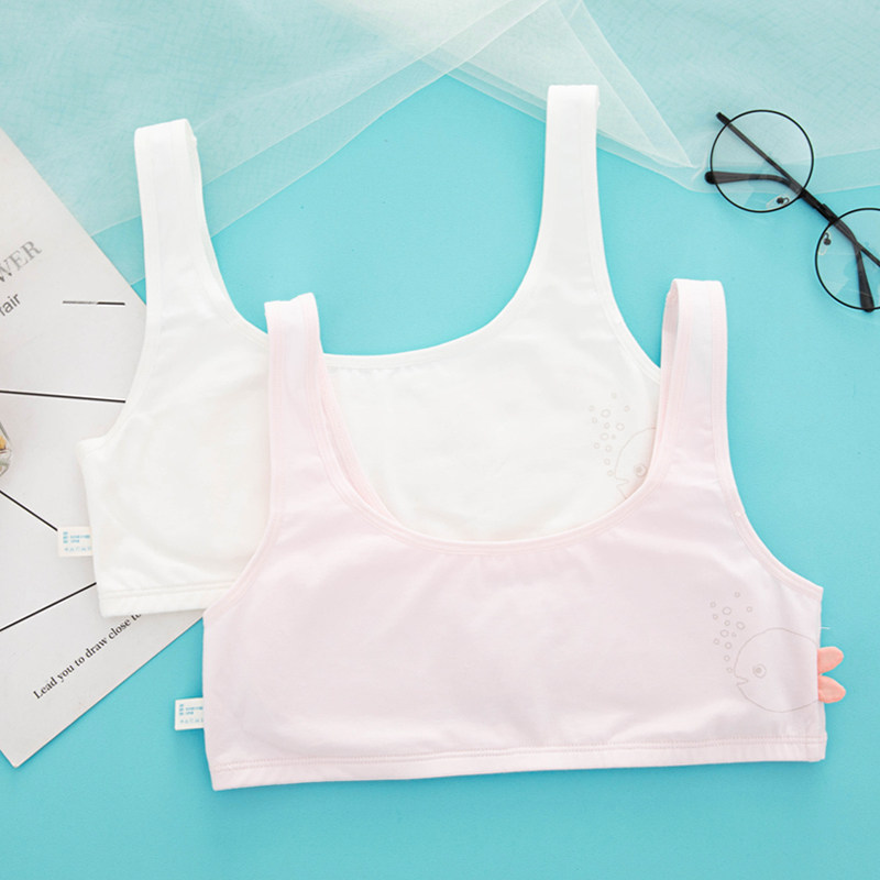 Yi Lanfen Girls' Underwear Development Girl Vest Pupils Children's Cotton Anti-bump Big Children's Bra 10