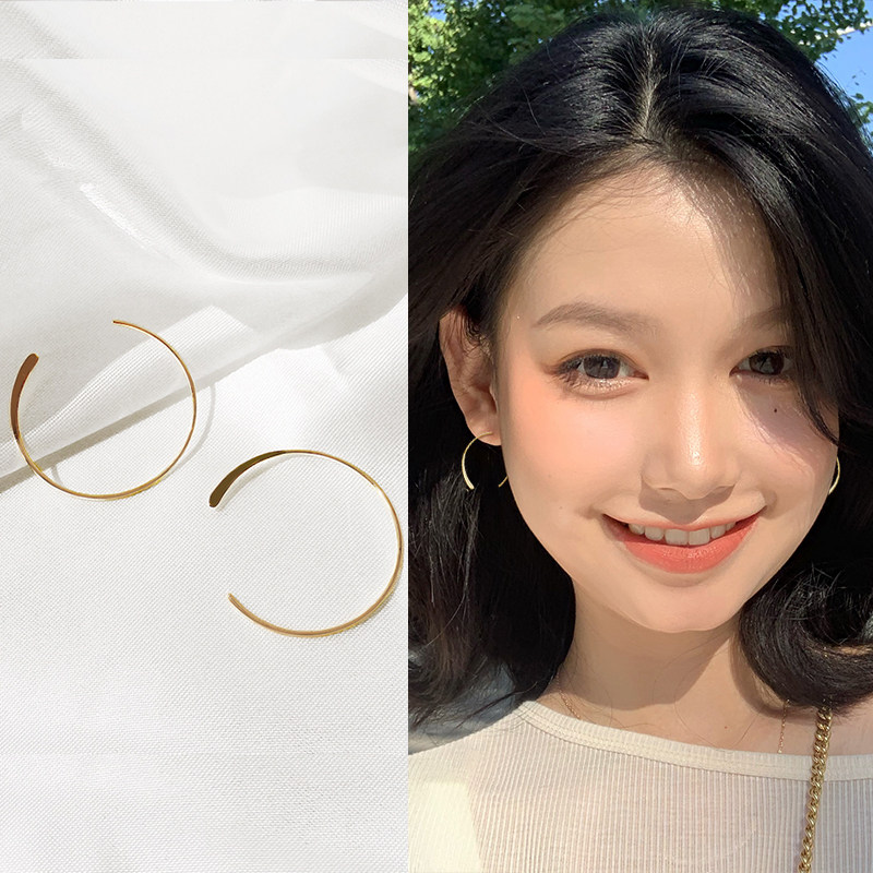 Temperament Advanced earrings 2021 New style Net red Korean earring design feel earrings earrings