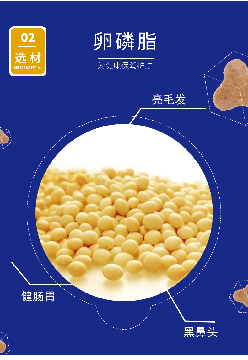 Dấu phẩy làm đẹp lông chó đặc biệt hơn chó gấu thức ăn luật Samoyed chiến đấu với Bomei để xé rách loại chung 3 kg - Chó Staples thức ăn smartheart