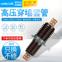 Copper conductor CWB-10KV 1250A outdoor ceramic high voltage copper row anti-fouling wall casing Insulation wall can be tinned