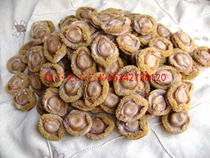 Simulation abalone model Large abalone model Small abalone model Abalone model factory direct sales