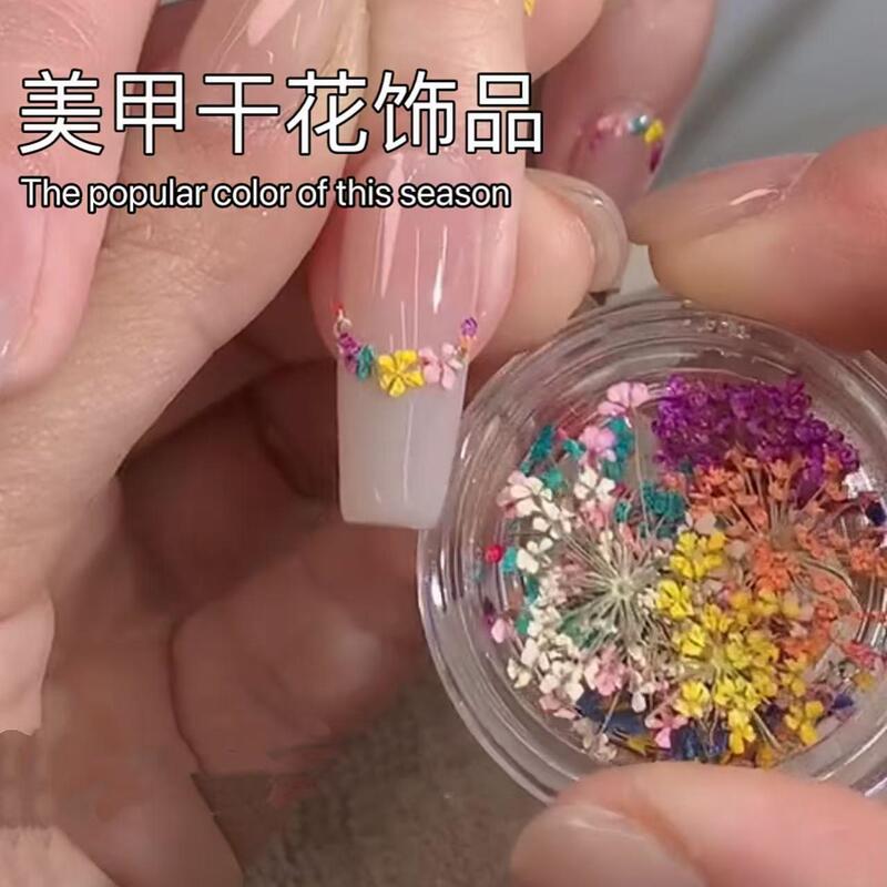 Nail Art Three-Dimensional Small Dried Flowers Crystal Nail Art Decorations Pressed Flowers Lace Three-Dimensional Snow Bead Flower Decorations Petal Materials