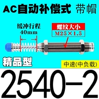 Бутик автоматическая компенсация типа AC2540-2 [Caps]