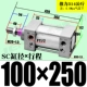 ZSC100*250-S с магнитом