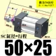 Horcho SC50*25