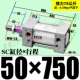 ZSC50*750-S магнитный