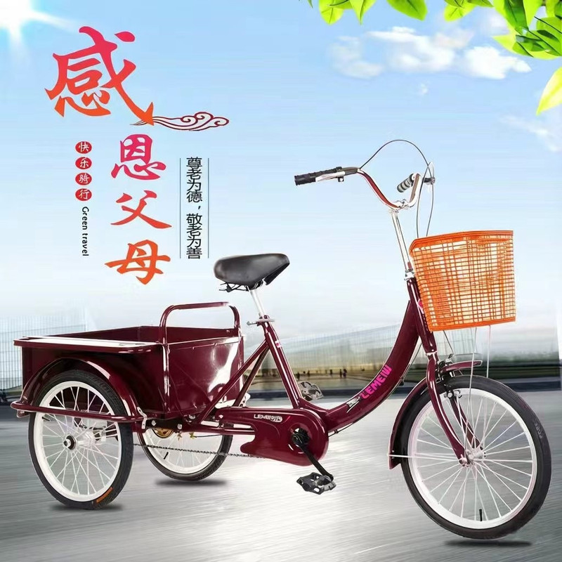 New Tricycle for the Elderly, Rickshaw, Elderly Pedal Scooter, Double Car, Pick-Up and Drop-Off, Three-Wheel Grocery Cart for Children