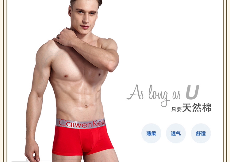 Quần lót nam cotton boxer modal mid-eo tam giác quần tuần: y-ck02