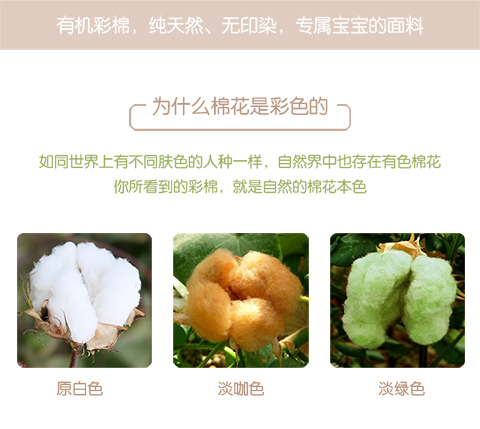 Cotton hữu cơ tùy chỉnh Giường cho trẻ em Kind Giường mẫu giáo cho trẻ mẫu giáo Mua ga phủ giường