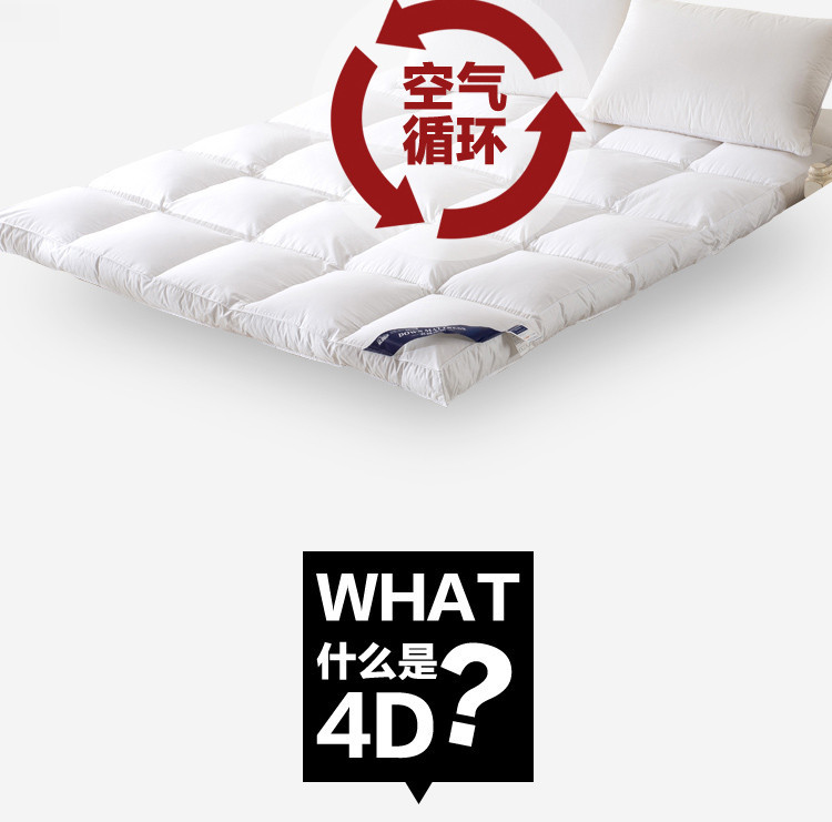 Plush lông nệm 10cm tatami dày ký túc xá sinh viên 0.9m xuống 1,5 bọc đơn hoặc kép trẻ nệm - Nệm giá nệm