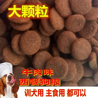 Yitong training dog food super large grains