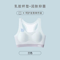 【I-образная спина】 Blue + Green (латексные подставки/антибактериальные и анти-MITE)