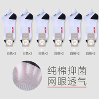 Белый 12 [избыточное значение 12 двойной пакет]