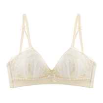 Catman French Lace Underwear Womens Summer Thin Style Push-Up Small Breasts Show Bigger 2024 New Pure Desire Sexy Bra