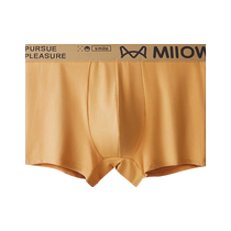 Catman pure cotton mens underwear boys graphene antibacterial boxer briefs large size breathable boys sports boxer shorts