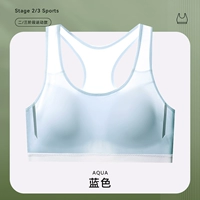 Синий [ударная декомпрессия/коррекция сундука типа]