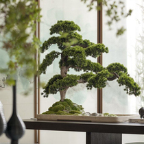 Yiyi space simulation welcome pine bonsai club restaurant sales department dry landscape sand table landscape pine tree ornaments