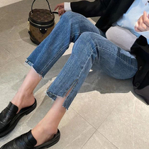 Pregnant womens split jeans spring and autumn net red thin small nine-point straight-leg pants cigarette pipe pants high-waisted belly-supporting pants