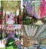 Mô phỏng Wisteria Hoa Đậu Hoa Chuỗi Violet Hoa lụa Trang trí Vine Vine Trần Wedding Fake Hoa Mây Tường Treo Hoa - Hoa nhân tạo / Cây / Trái cây