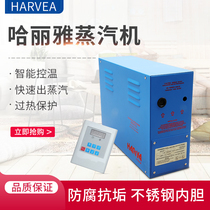 Haliya steam engine 3-18kw large and small commercial beauty salon whole body detoxification wet steam sauna accessories and equipment