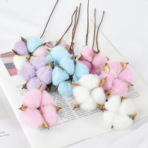 Cotton head photo props dried flower background cloth ins decorative pendulum shooting Jewelry ornaments shooting creative object photography