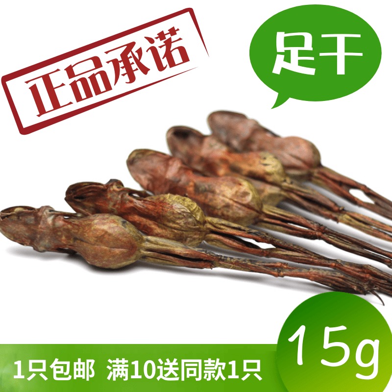 (Full ten free one) Changbai Mountain snow clam dried 15g forest frog dried toad oil full of 5 places of origin straight hair