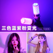 Shake sound light Purple blue light camera light Net red video color fill light Romantic atmosphere Small purple light led night light