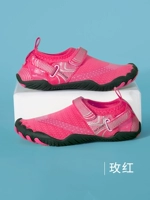 Роза красная