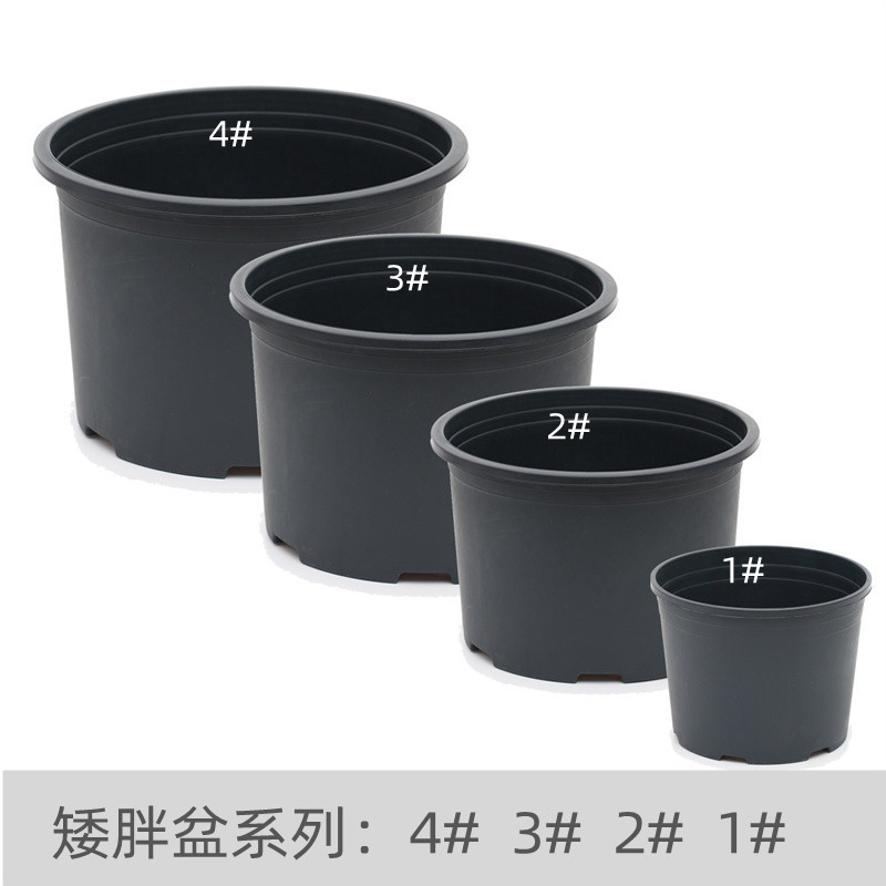 New Product: Short and Wide Pots, Black Pp Hard Pots, 1-4 Gallon Round Plastic Flower Pots, Rose and Hydrangea Nursery Pots, Free Shipping
