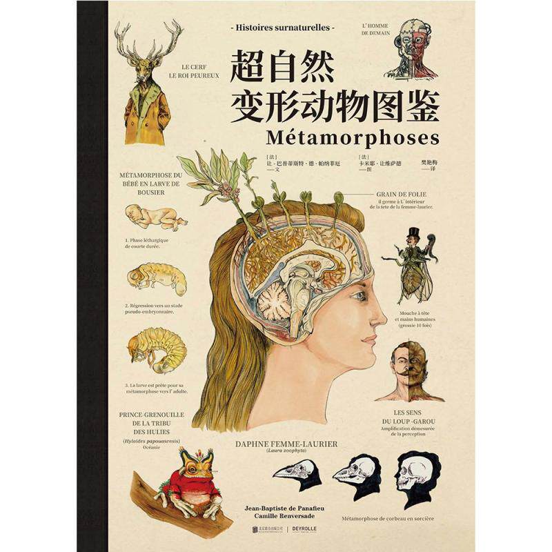 Chinese version of Métamorphoses Paranormal metamorphosis Animal guide Fantasy style large-scale hand-drawn anatomical map Encyclopedia of paranormal metamorphosis creatures