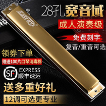 German import sound spring oriental tripod harmonica 28 holes comeback CABDEFG#调重音成人专业演奏级