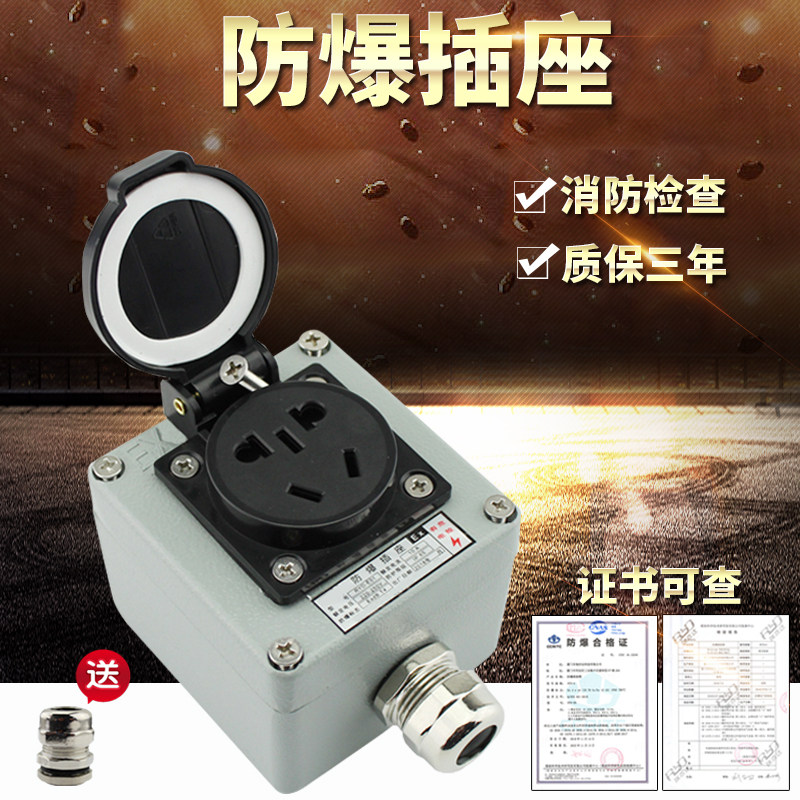 Industrial EX explosion-proof socket Fire security surface installation 10A220V five-hole wall 86 type flapper dust-proof socket