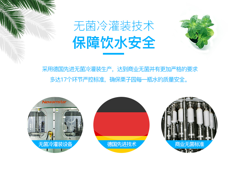 临期清仓 栗子园 无糖无气苏打水 375ml*6瓶 图6