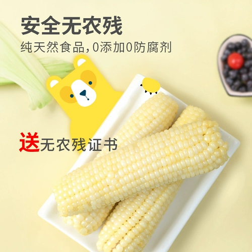 За 21 год у новых кукурузных зерен Tianqin есть крикет? 0 кусочков свежей кукурузной клейкой кукурузы