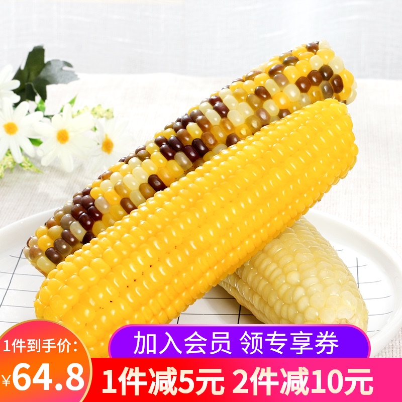 Tianqin Grain net mixed taste 5 yellow 5 color 5 white Non-GMO Tianqin Organic Sticky sticky corn Cob Set