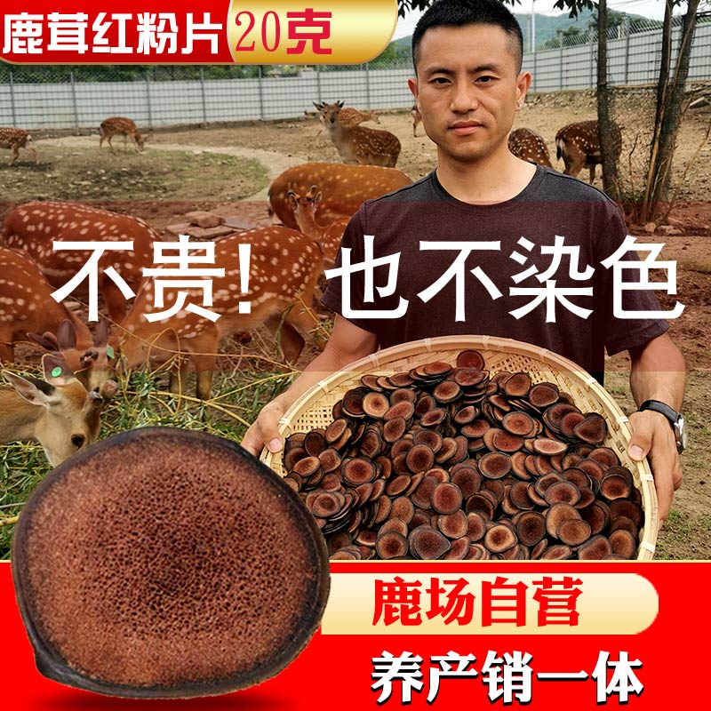 Maple Wood Antler Slice Red Powder Slices Antler Blood Slices Jilin Meiantler Deer Horse Antler Whole Herbs Bubble Wine Men 20 gr-Taobao