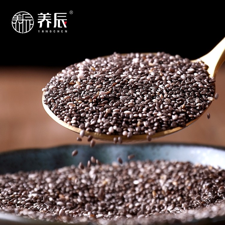 Breeding Chia Seed Chia Seed Mexican Chiaia Non-flaxseed 450 gr décor to satiate quinoa